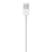 Picture of Apple Lightning To Usb Cable (2 M) - MD819ZM/A
