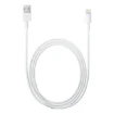 Picture of Apple Lightning To Usb Cable (2 M) - MD819ZM/A