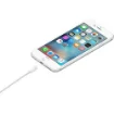 Picture of Apple Lightning To Usb Cable (1В M) - MXLY2ZM/A
