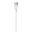 Picture of Apple Lightning To Usb Cable (1В M) - MXLY2ZM/A
