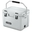 <div>Dometic Patrol 20 Passive Refrigerator Box 19L Mist - 9600028784</div> product image