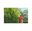 [Never Used] Ryobi 36V Hedge Trimmer - 60cm Blade - Without Battery or Charger - Ry36ht60a-0 product image