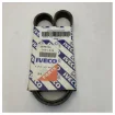 Iveco 4898546-ST-P69 - V-ribbed Drive Belt product image