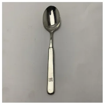 Ferretti Yachts Stainless Steel Fruit Spoon with Durable Rectangular Handle - 14853 product image