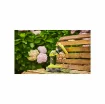[Never Used] Ryobi 18V One+ Motorised Brush - Without Battery or Charger - R18CPS-0 product image