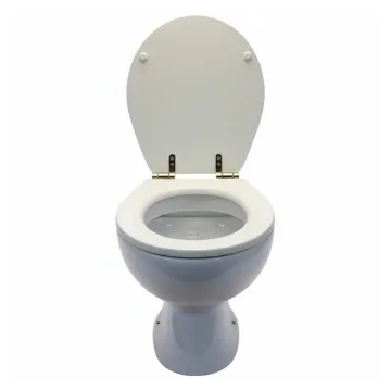 Planus Elite 24V Marine Electric Toilet High with SoftClose product image