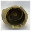 Guidi 4 Inch Non Return Valve Brass - 1670.100013 product image