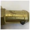 F.lli Pedretti Safety - Pressure Valve 2 Inch - 1 Bar Brass product image