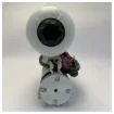 Gianneschi Idromar ACB 80 Hydrofor Water Pressure System - 24V - 5L Tank product image