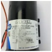 Jabsco Par-Max Plus 6 Fresh Water Pump 24V 22.7L/min - 82600-0394 product image