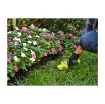 Ryobi 4V Grass Shear and Plant Sculptor - 2.0Ah Battery and Charger - RY4CGSA-120 product image