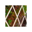 Expandable Wooden Trellis 120x180 Cm - Faura - Ref. 75400 product image