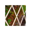Expandable Wooden Trellis 60x180 Cm - Faura - Ideal for Gardening - 75197 product image