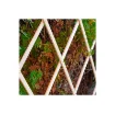 Expandable Wooden Trellis 90x180 Cm - Practical and Adjustable - Faura - Ref. 75198 product image