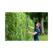 Ryobi Linea Hedge Trimmer 18V One+ Ry18ht55a - Linea - 55cm - 4.0Ah Battery and Charger product image