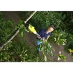 Ryobi 18V One+ Telescopic Pruner RY18PLA-0 - 4.0Ah Battery and Charger product image