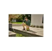 Ryobi 18V One+ RY18SPA Drainage Pump - 4200 L/H - 4.0Ah Battery and Charger product image
