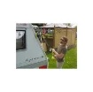 Ryobi 18V One+ R18TPS Telescopic Motorised Brush - 4.0Ah Battery and Charger product image